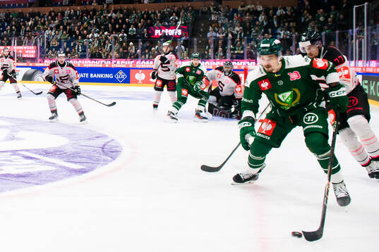 David Tomasek of Färjestad  and David Nemecek of Sparta