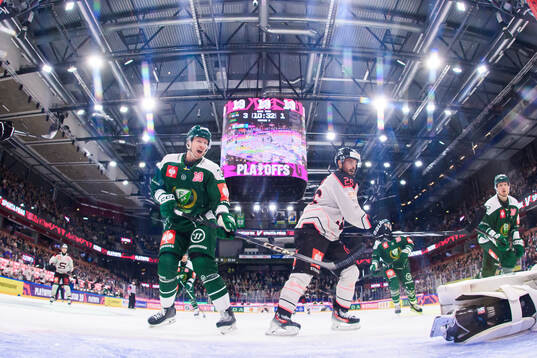 Adam Ollas Mattsson of Färjestad  and Michal Repik of