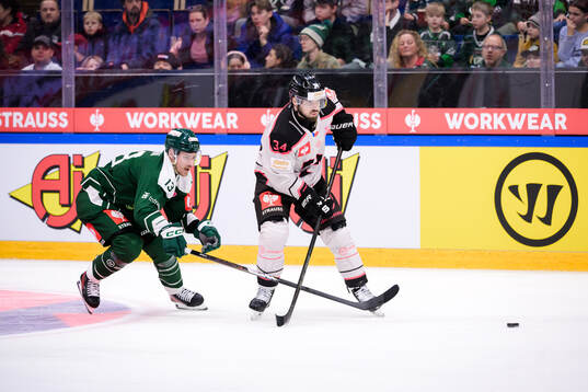 Joel Kellman of Färjestad  and Michael Spacek of Sparta