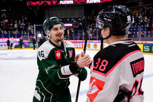 David Tomasek of Färjestad  and Tomas Hyka of Sparta Prague