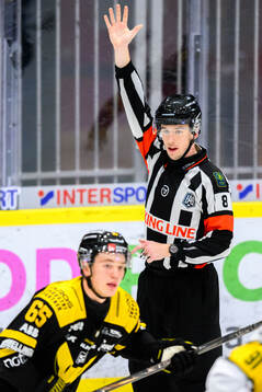 Domare Oscar Niklasson