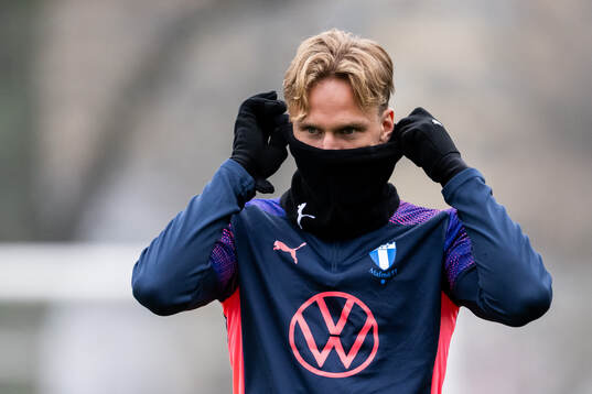 Erik Botheim of Malmö FF