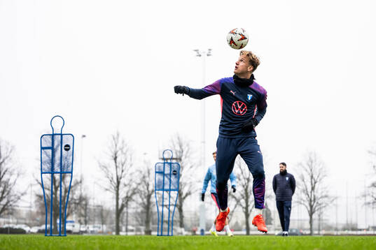 Erik Botheim of Malmö FF