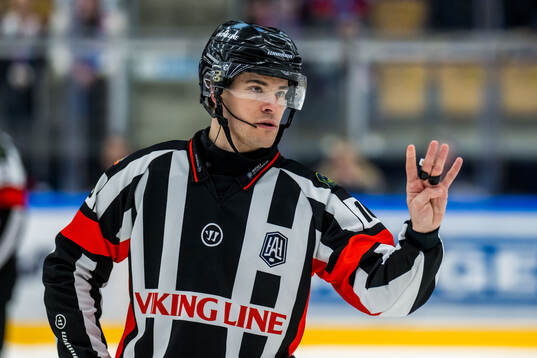 Domare Stefan Leijonklo
