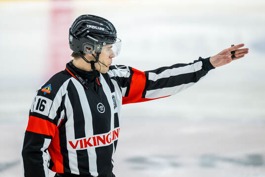 Domare Stefan Leijonklo