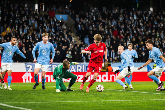 goalkeeper Ricardo Friedrich of Malmö FF and Sem Steijn of