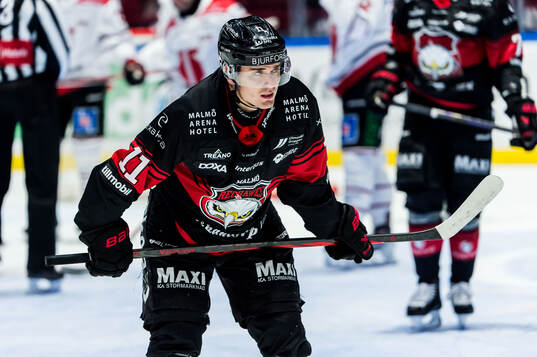 Malmö Redhawks Nikola Pasic deppar