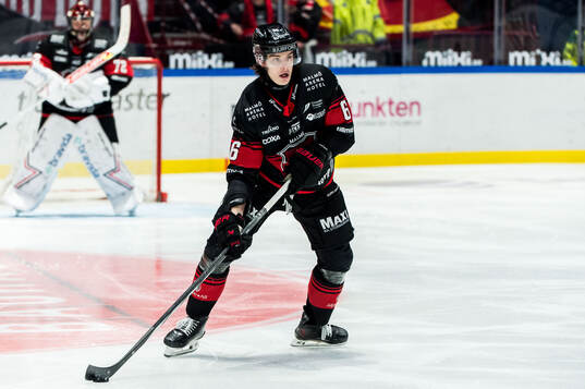 Malmö Redhawks Dominik Badinka
