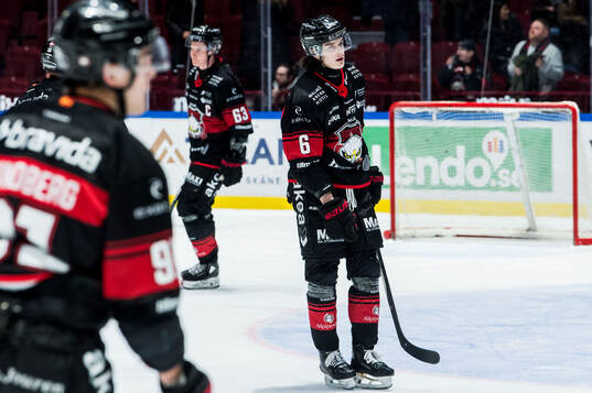 Malmö Redhawks Dominik Badinka deppar