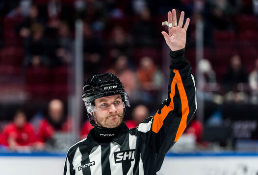Domare Daniel Eriksson
