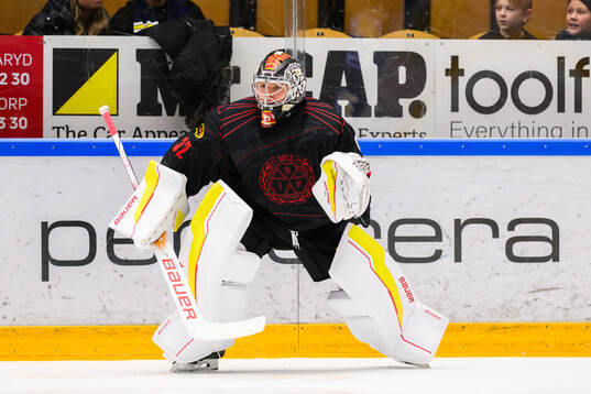 Brynäs målvakt Ludvig Persson