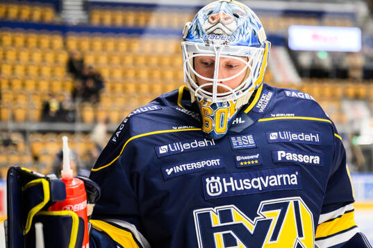 HV71s målvakt Hugo Alnefelt