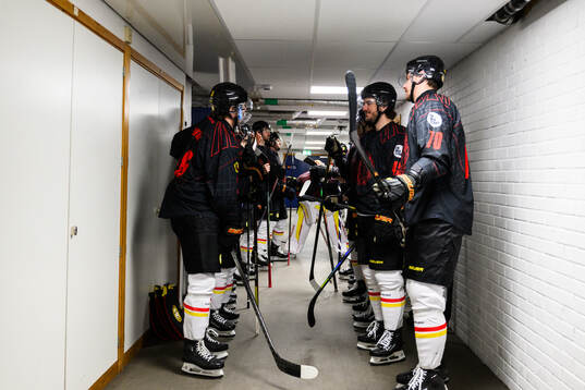 Brynäs spelare