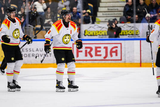 Brynäs Anton Rödin jublar