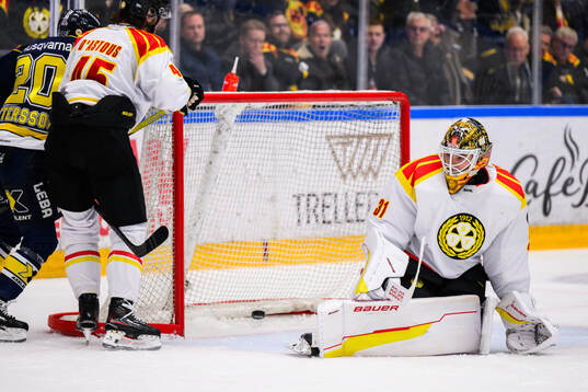 Brynäs målvakt Erik Källgren
