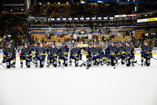 HV71s spelare jublar