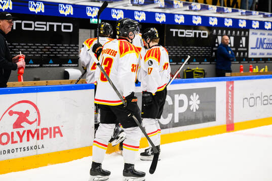 Brynäs spelare deppar