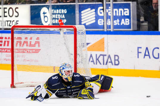 HV71s målvakt Hugo Alnefelt