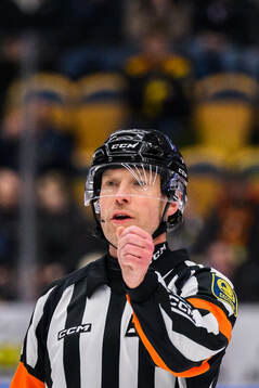 Domare Tobias Björk