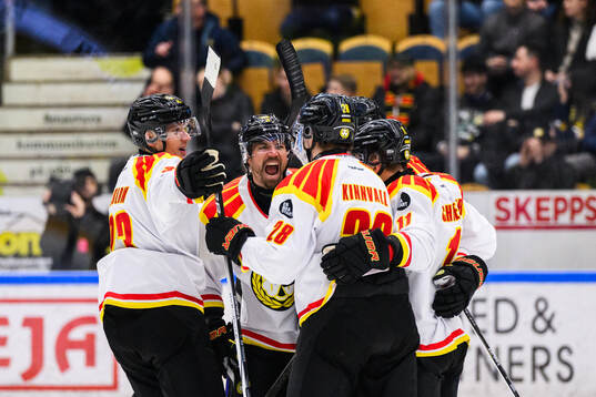 Brynäs Anton Rödin jublar