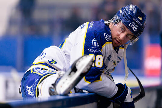 Leksands Justin Glenn Kloos
