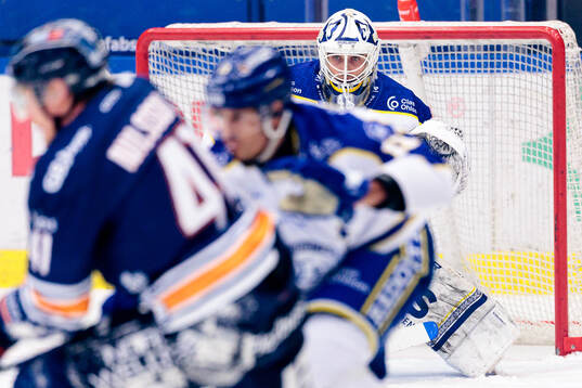 Leksands målvakt Mantas Armalis