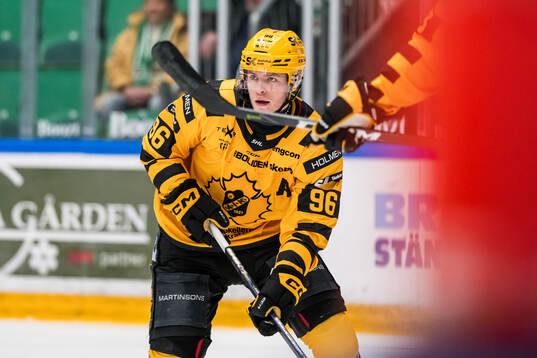 Skellefteås Rickard Hugg