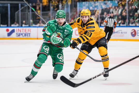 Rögles Filip Johansson och Skellefteås Martins Dzierkals