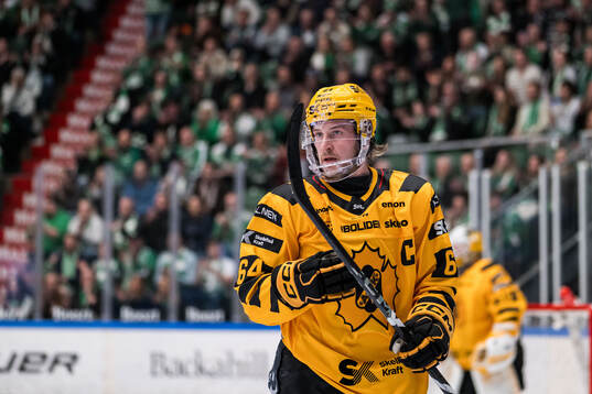 Skellefteås Jonathan Pudas deppar