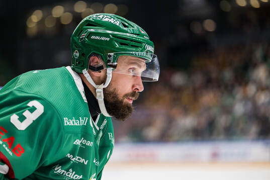 Rögles Michael Kapla