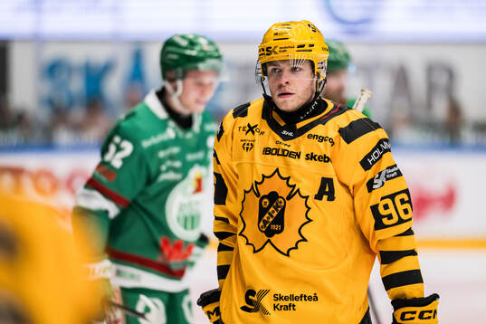 Skellefteås Rickard Hugg