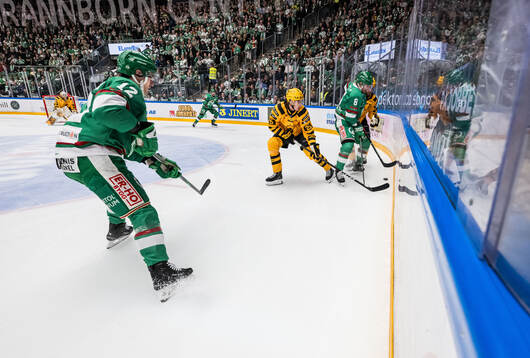 Skellefteås Oscar Lindberg och Rögles Linus Sandin