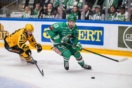 Skellefteås Rickard Hugg och Rögles Josh Dickinson