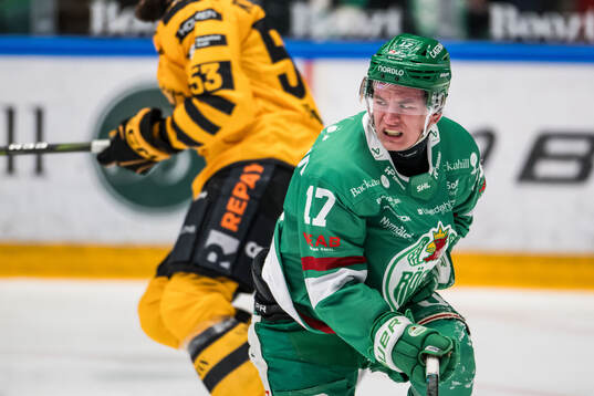 Rögles Max Karlsson