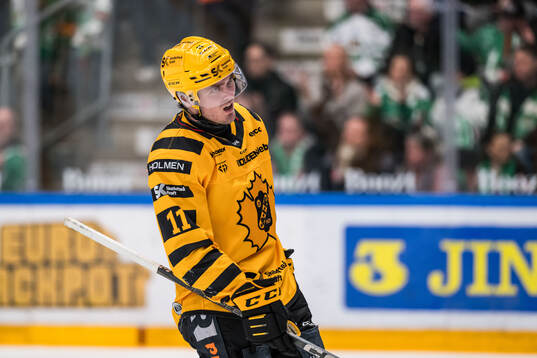 Skellefteås Max Lindholm deppar