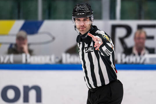 Domare Richard Magnusson