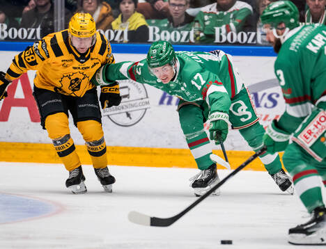 Skellefteås Oskar Nilsson och Rögles Max Karlsson