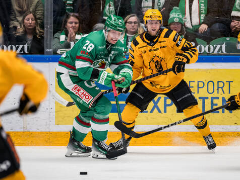 Rögles Anton Bengtsson och Skellefteås Jonathan Davidsson