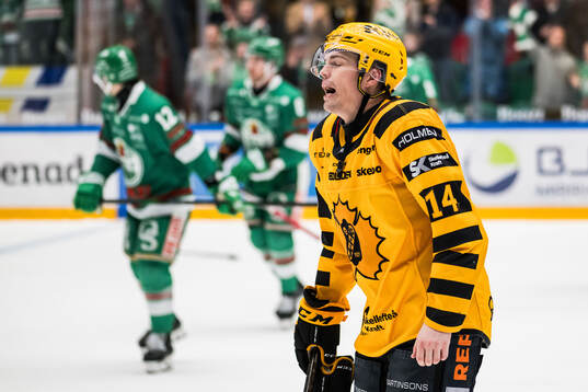 Skellefteås Andreas Johnson deppar