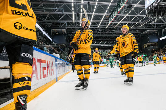 Skellefteås Valter Lindberg och Oskar Nilsson deppar