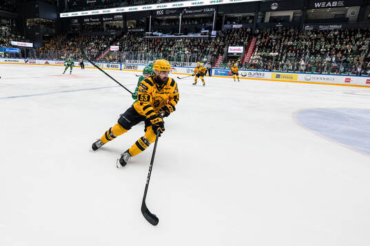 Skellefteås Luke Witkowski
