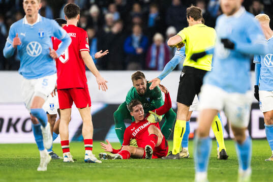 goalkeeper Ricardo Friedrich of Malmö FF and Gijs