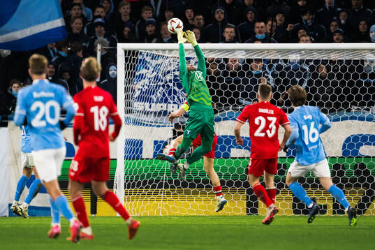 goalkeeper Ricardo Friedrich of Malmö FF