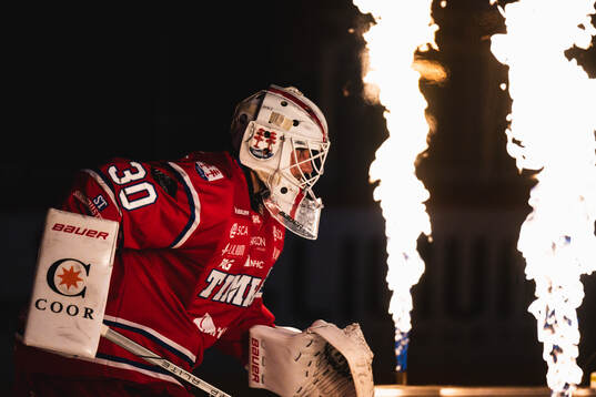 Bläddra bland fler bilder av Ishockey, SHL, Timrå - Frölunda