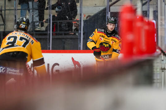 Luleås David Lilja innan ishockeymatchen i SHL mellan Modo
