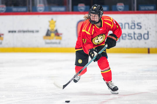 Brynäs Taylor Baker