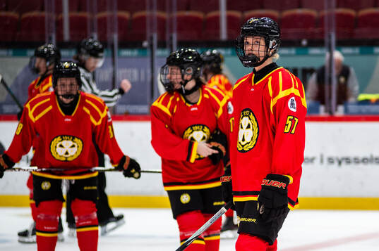 Brynäs Maja Ålenius deppar
