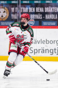 Modos Ebba Hedqvist