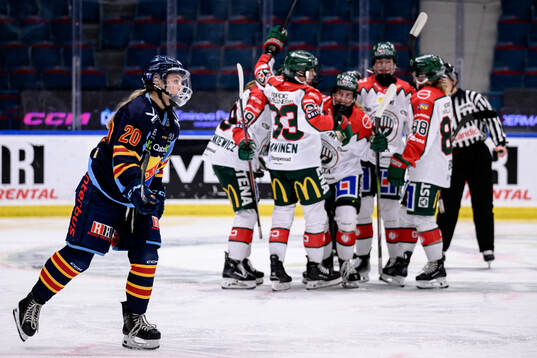 Djurgårdens Brette Pettet deppar