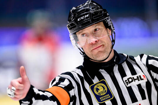 Domare Tobias Björk